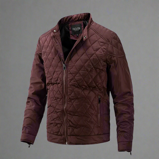 Braune gesteppte Herrenjacke mit Reißverschluss und Stehkragen, modisches Design, ideal für Herbst und Winter, isolierte Outdoor-Bekleidung.